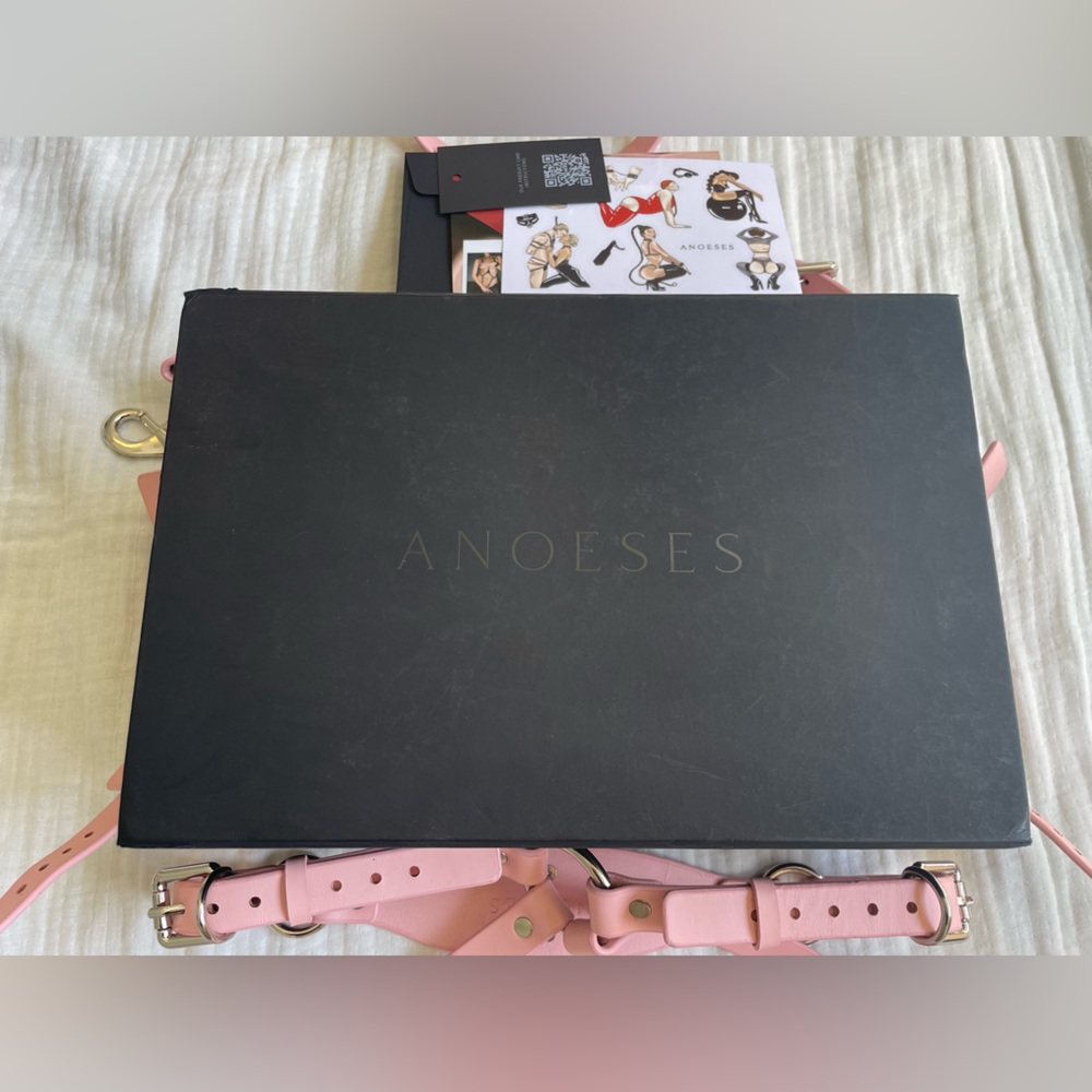 Anoeses Leather Pink Terra bondage Lingerie Set - Picture 17 of 17
